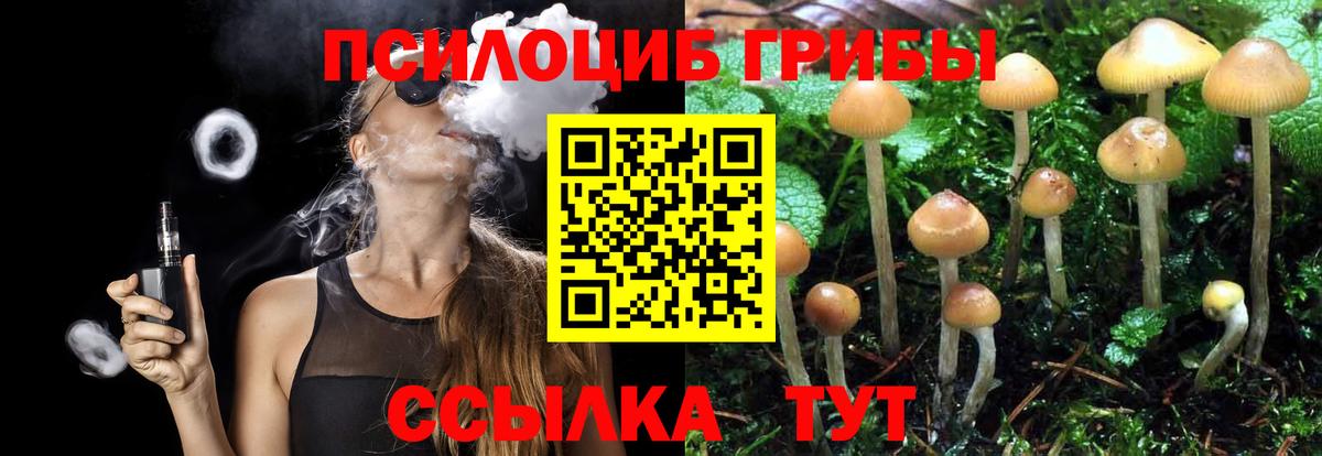 Галлюциногенные грибы MAGIC MUSHROOMS  Вход с VPN  Псилоцибиновые грибы Magic Shrooms  Ипатово 